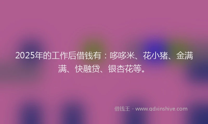 2025年的工作后借钱有：哆哆米、花小猪、金满满、快融贷、银杏花等。