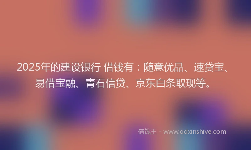 2025年的建设银行 借钱有：随意优品、速贷宝、易借宝融、青石信贷、京东白条取现等。