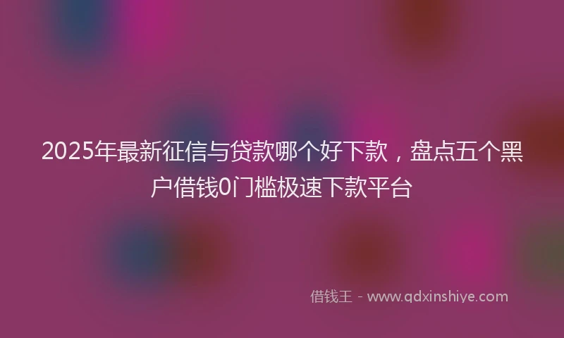 2025年最新征信与贷款哪个好下款，盘点五个黑户借钱0门槛极速下款平台