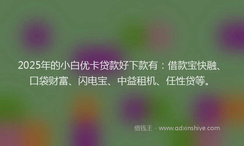 2025年的小白优卡贷款好下款有：借款宝快融、口袋财富、闪电宝、中益租机、任性贷等。