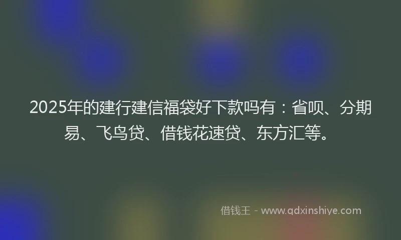 2025年的建行建信福袋好下款吗有：省呗、分期易、飞鸟贷、借钱花速贷、东方汇等。
