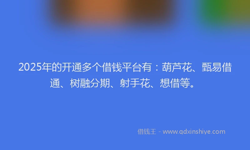 2025年的开通多个借钱平台有：葫芦花、甄易借通、树融分期、射手花、想借等。