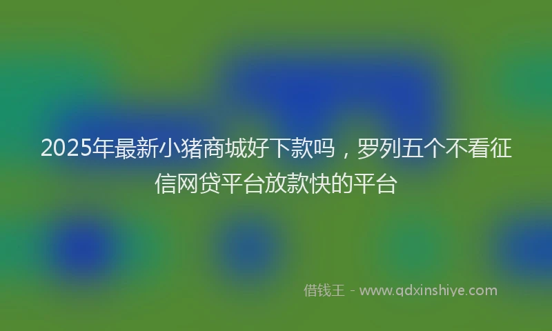 2025年最新小猪商城好下款吗，罗列五个不看征信网贷平台放款快的平台