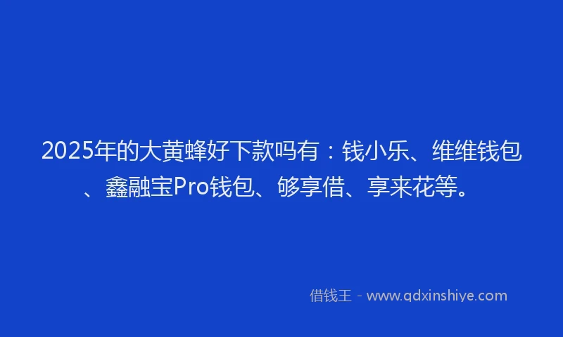 2025年的大黄蜂好下款吗有：钱小乐、维维钱包、鑫融宝Pro钱包、够享借、享来花等。