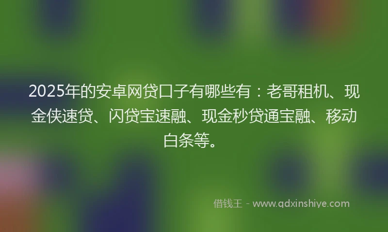 2025年的安卓网贷口子有哪些有：老哥租机、现金侠速贷、闪贷宝速融、现金秒贷通宝融、移动白条等。