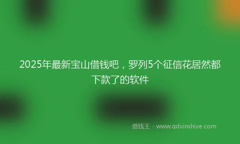 2025年最新宝山借钱吧，罗列5个征信花居然都下款了的软件