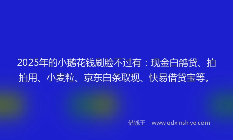 2025年的小鹅花钱刷脸不过有：现金白鸽贷、拍拍用、小麦粒、京东白条取现、快易借贷宝等。