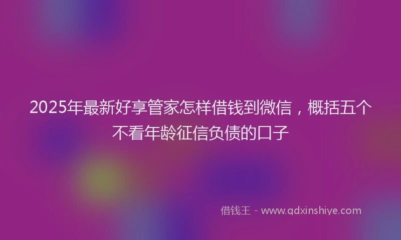 2025年最新好享管家怎样借钱到微信，概括五个不看年龄征信负债的口子