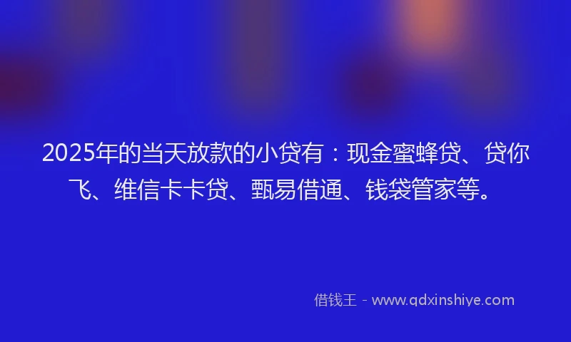 2025年的当天放款的小贷有：现金蜜蜂贷、贷你飞、维信卡卡贷、甄易借通、钱袋管家等。