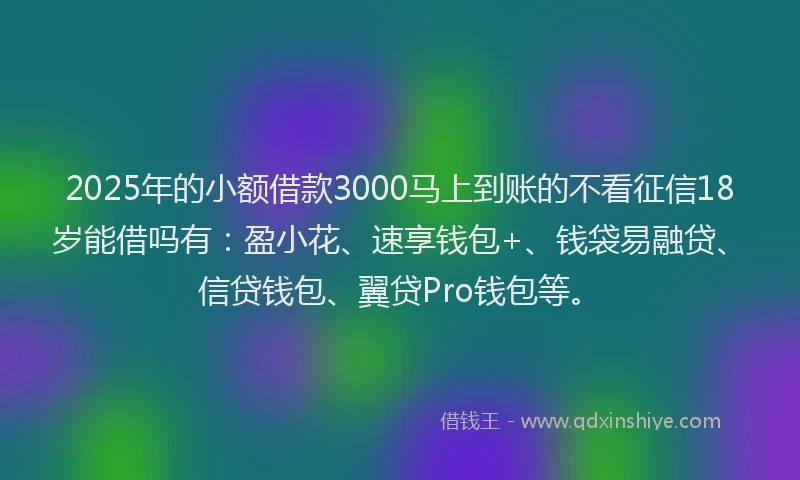 2025年的小额借款3000马上到账的不看征信18岁能借吗有：盈小花、速享钱包+、钱袋易融贷、信贷钱包、翼贷Pro钱包等。
