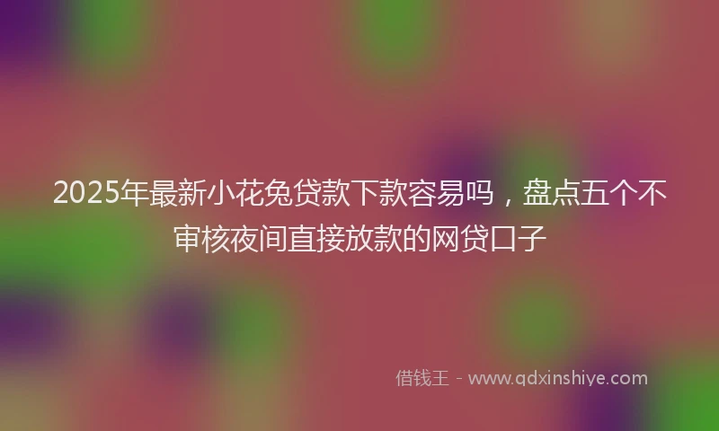 2025年最新小花兔贷款下款容易吗，盘点五个不审核夜间直接放款的网贷口子