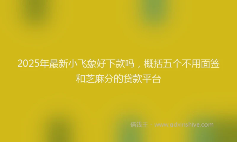 2025年最新小飞象好下款吗，概括五个不用面签和芝麻分的贷款平台