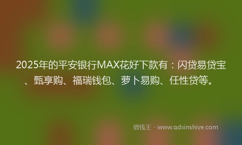 2025年的平安银行MAX花好下款有：闪贷易贷宝、甄享购、福瑞钱包、萝卜易购、任性贷等。