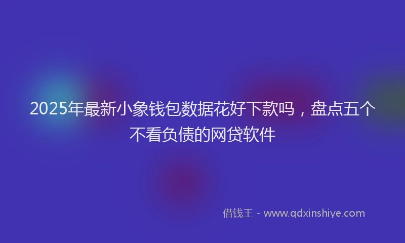 2025年最新小象钱包数据花好下款吗，盘点五个不看负债的网贷软件