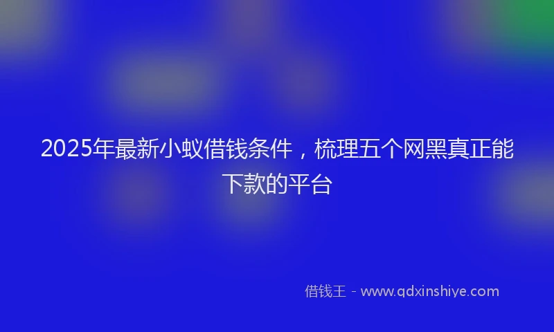 2025年最新小蚁借钱条件，梳理五个网黑真正能下款的平台