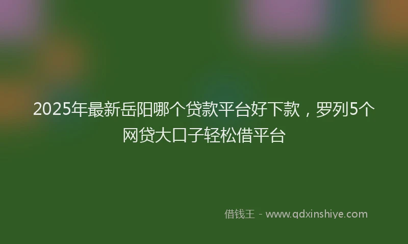 2025年最新岳阳哪个贷款平台好下款，罗列5个网贷大口子轻松借平台