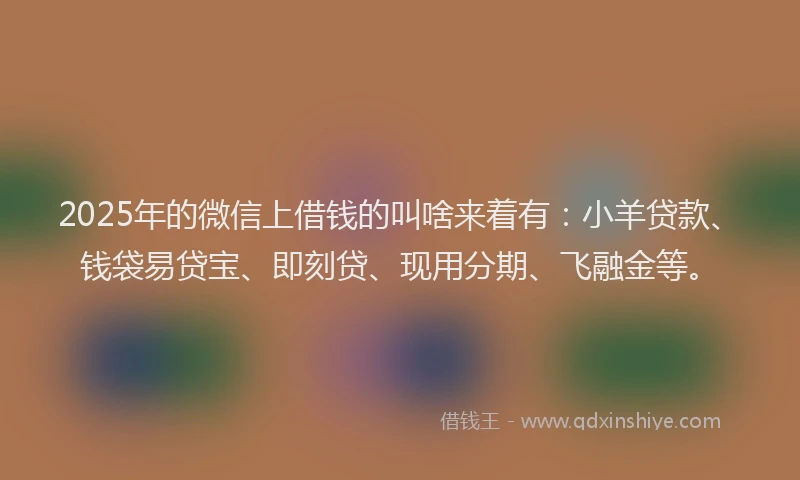 2025年的微信上借钱的叫啥来着有：小羊贷款、钱袋易贷宝、即刻贷、现用分期、飞融金等。