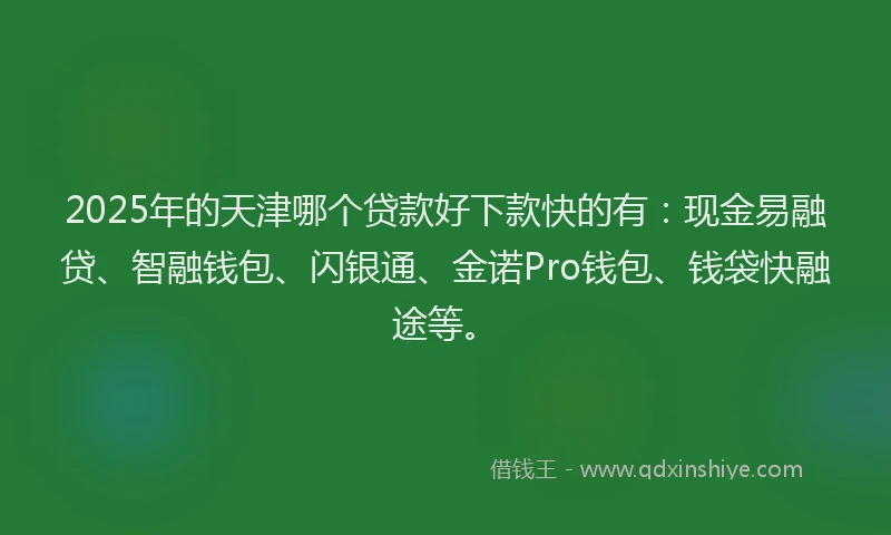 2025年的天津哪个贷款好下款快的有：现金易融贷、智融钱包、闪银通、金诺Pro钱包、钱袋快融途等。