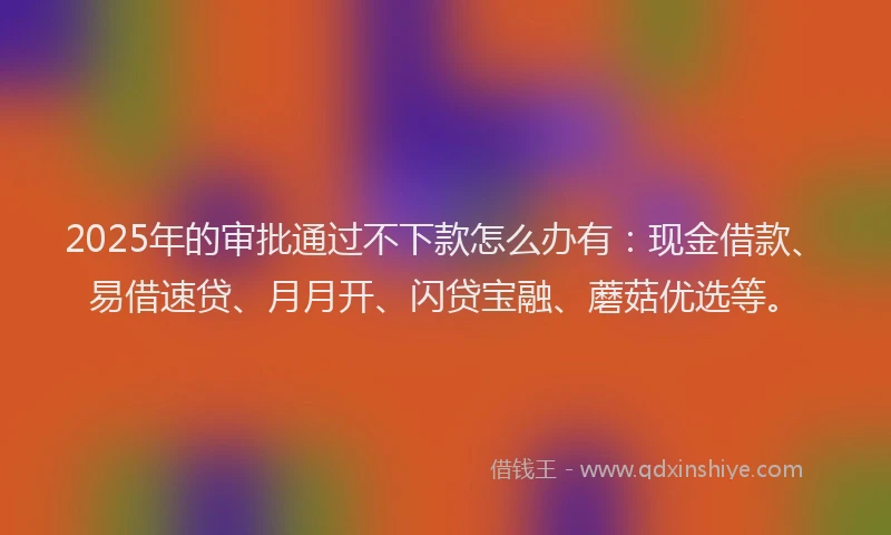 2025年的审批通过不下款怎么办有：现金借款、易借速贷、月月开、闪贷宝融、蘑菇优选等。