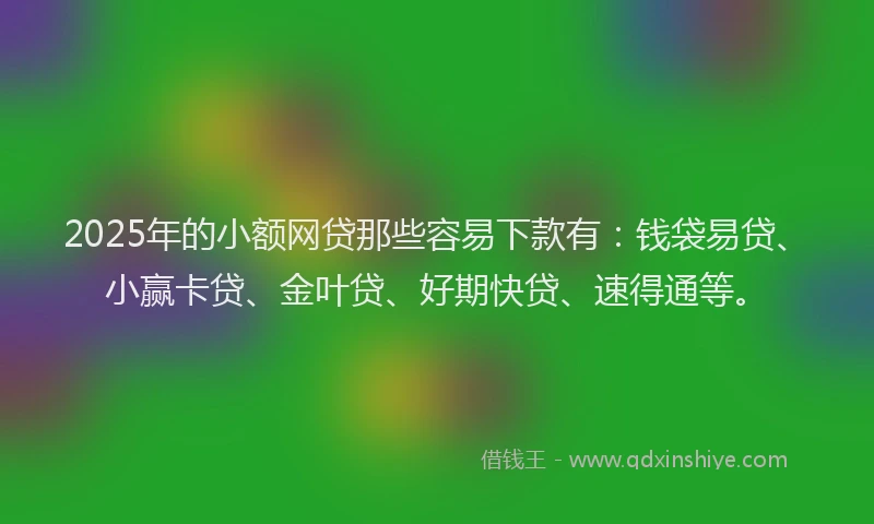 2025年的小额网贷那些容易下款有：钱袋易贷、小赢卡贷、金叶贷、好期快贷、速得通等。