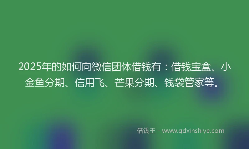 2025年的如何向微信团体借钱有：借钱宝盒、小金鱼分期、信用飞、芒果分期、钱袋管家等。