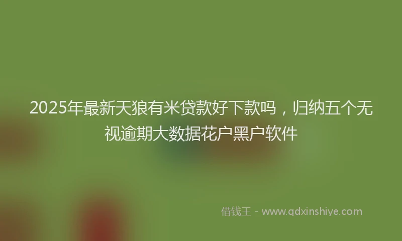 2025年最新天狼有米贷款好下款吗，归纳五个无视逾期大数据花户黑户软件