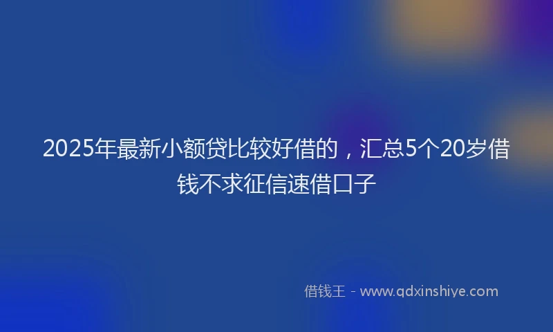 2025年最新小额贷比较好借的，汇总5个20岁借钱不求征信速借口子