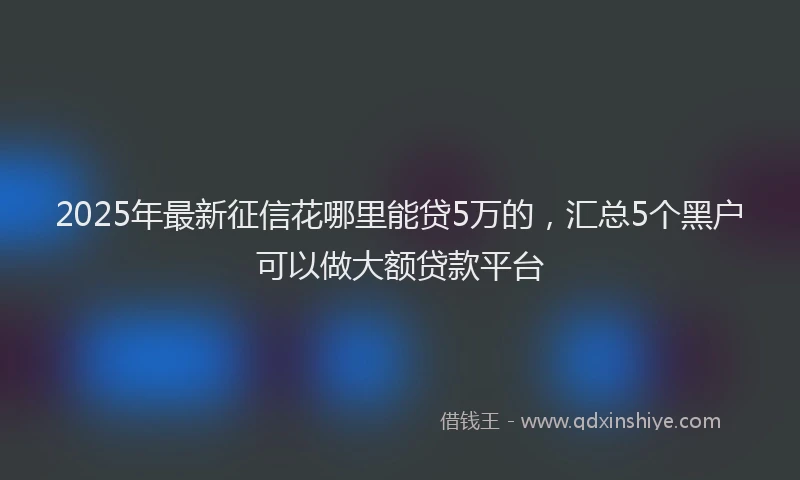 2025年最新征信花哪里能贷5万的，汇总5个黑户可以做大额贷款平台