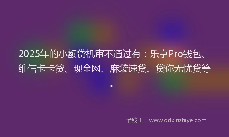 2025年的小额贷机审不通过有：乐享Pro钱包、维信卡卡贷、现金网、麻袋速贷、贷你无忧贷等。