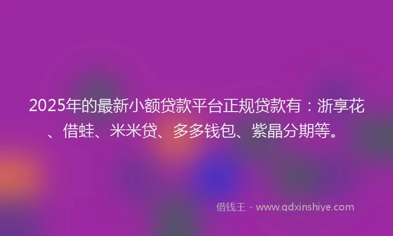 2025年的最新小额贷款平台正规贷款有：浙享花、借蛙、米米贷、多多钱包、紫晶分期等。