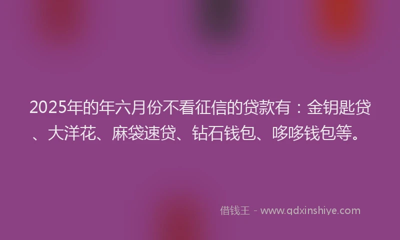 2025年的年六月份不看征信的贷款有：金钥匙贷、大洋花、麻袋速贷、钻石钱包、哆哆钱包等。