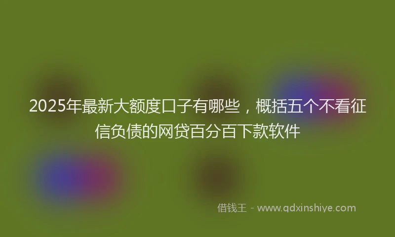 2025年最新大额度口子有哪些，概括五个不看征信负债的网贷百分百下款软件