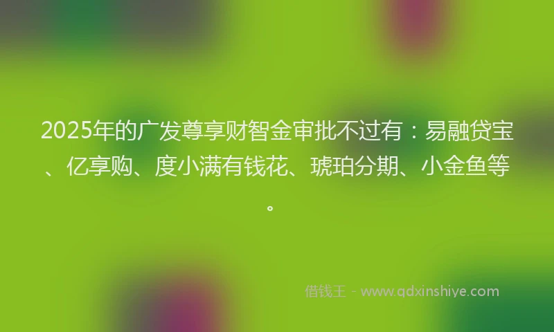 2025年的广发尊享财智金审批不过有：易融贷宝、亿享购、度小满有钱花、琥珀分期、小金鱼等。