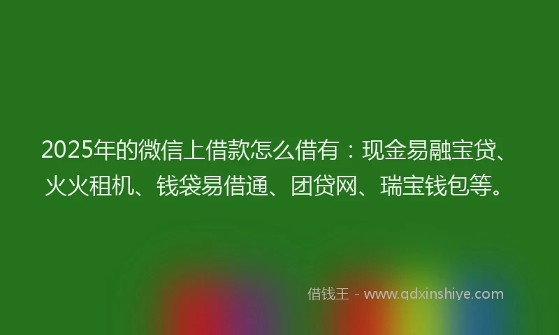 2025年的微信上借款怎么借有：现金易融宝贷、火火租机、钱袋易借通、团贷网、瑞宝钱包等。