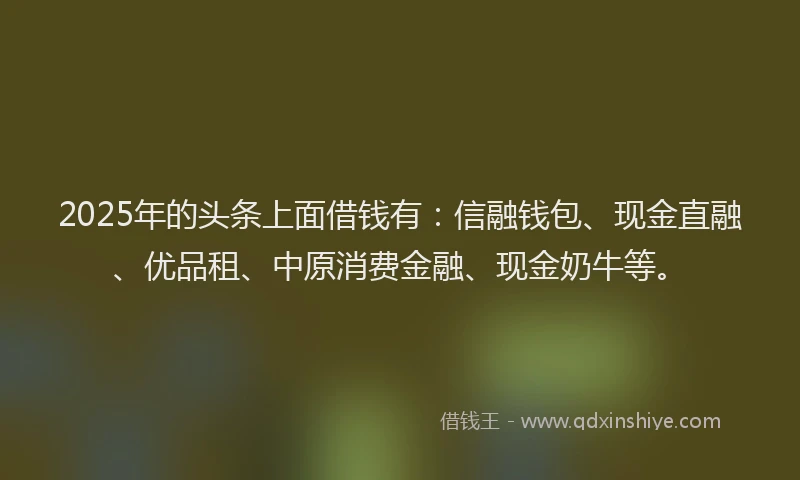 2025年的头条上面借钱有：信融钱包、现金直融、优品租、中原消费金融、现金奶牛等。