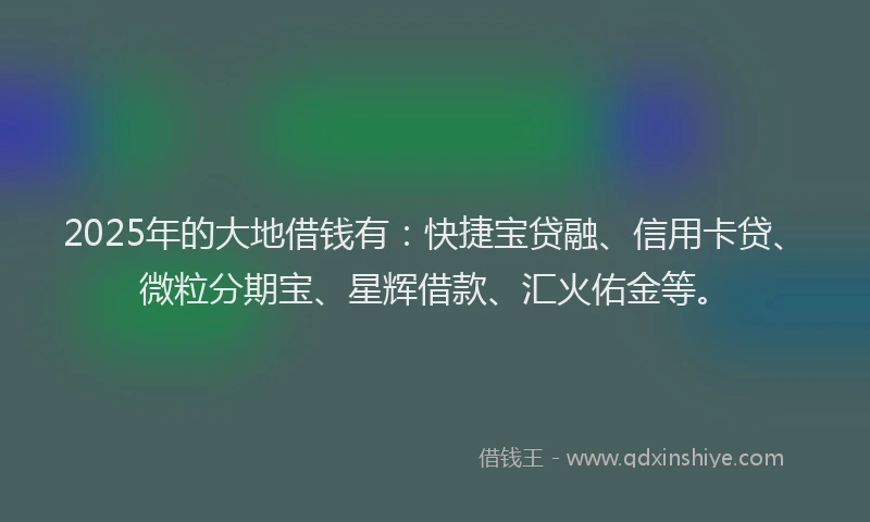 2025年的大地借钱有：快捷宝贷融、信用卡贷、微粒分期宝、星辉借款、汇火佑金等。