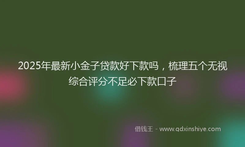 2025年最新小金子贷款好下款吗，梳理五个无视综合评分不足必下款口子