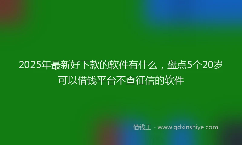 2025年最新好下款的软件有什么，盘点5个20岁可以借钱平台不查征信的软件
