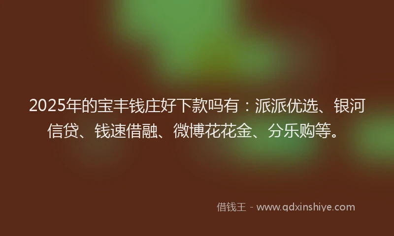 2025年的宝丰钱庄好下款吗有：派派优选、银河信贷、钱速借融、微博花花金、分乐购等。