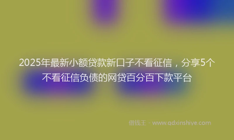 2025年最新小额贷款新口子不看征信，分享5个不看征信负债的网贷百分百下款平台