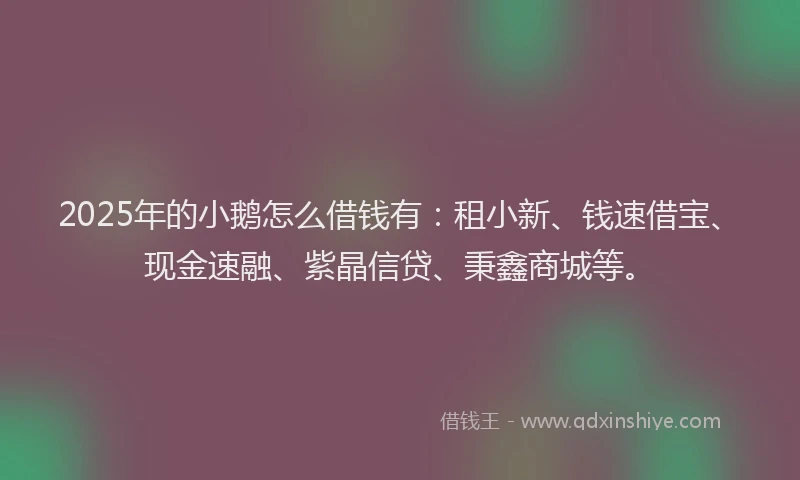 2025年的小鹅怎么借钱有：租小新、钱速借宝、现金速融、紫晶信贷、秉鑫商城等。