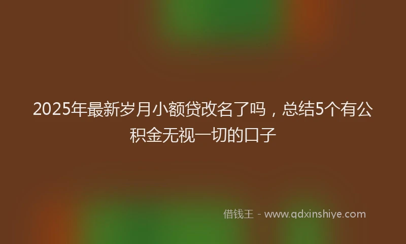 2025年最新岁月小额贷改名了吗，总结5个有公积金无视一切的口子