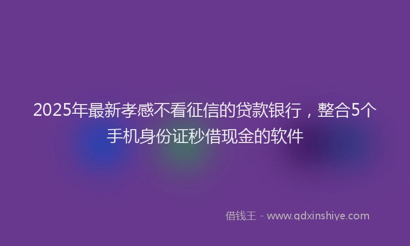 2025年最新孝感不看征信的贷款银行，整合5个手机身份证秒借现金的软件