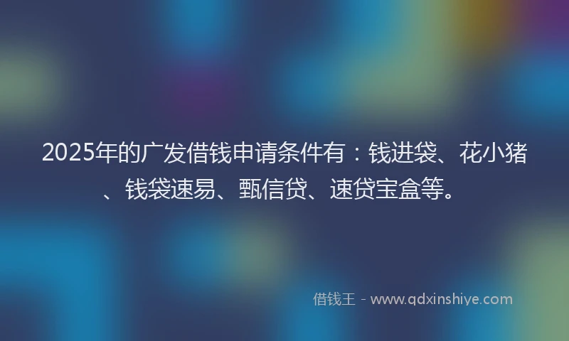 2025年的广发借钱申请条件有：钱进袋、花小猪、钱袋速易、甄信贷、速贷宝盒等。