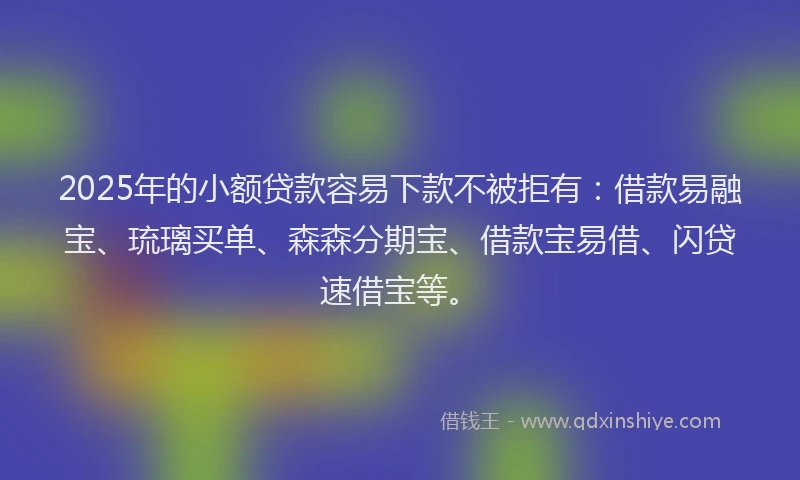 2025年的小额贷款容易下款不被拒有：借款易融宝、琉璃买单、森森分期宝、借款宝易借、闪贷速借宝等。