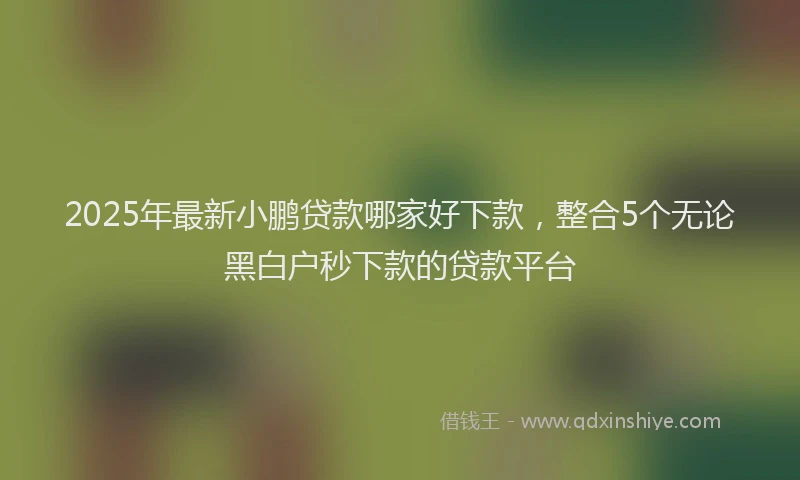2025年最新小鹏贷款哪家好下款，整合5个无论黑白户秒下款的贷款平台