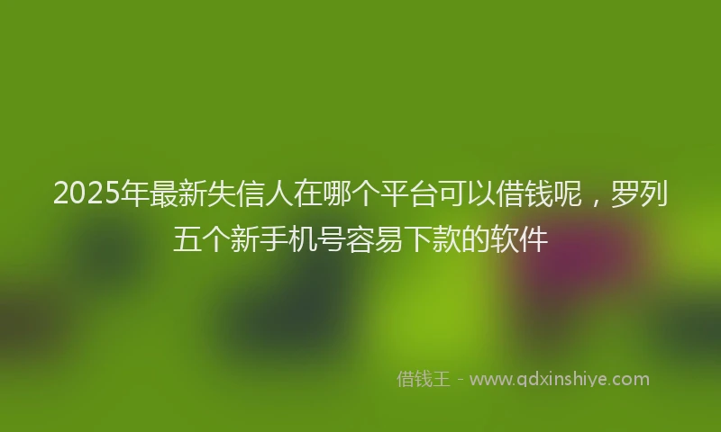2025年最新失信人在哪个平台可以借钱呢，罗列五个新手机号容易下款的软件