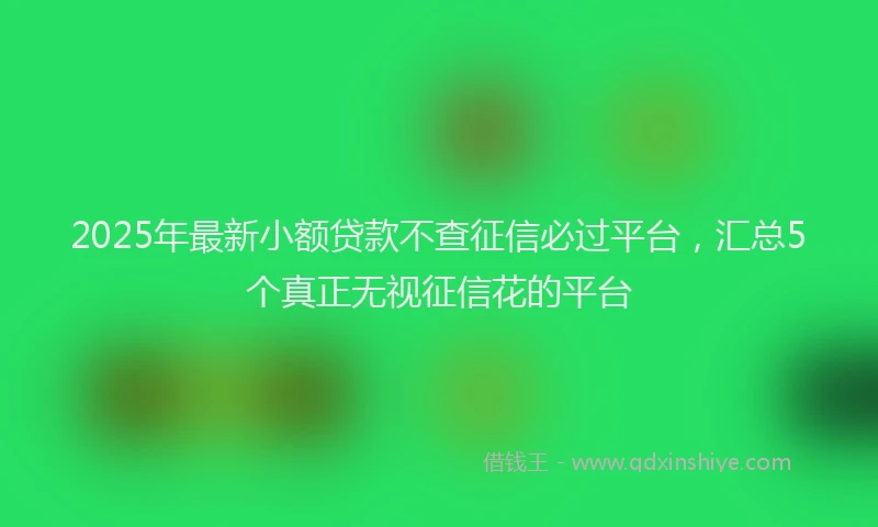 2025年最新小额贷款不查征信必过平台，汇总5个真正无视征信花的平台