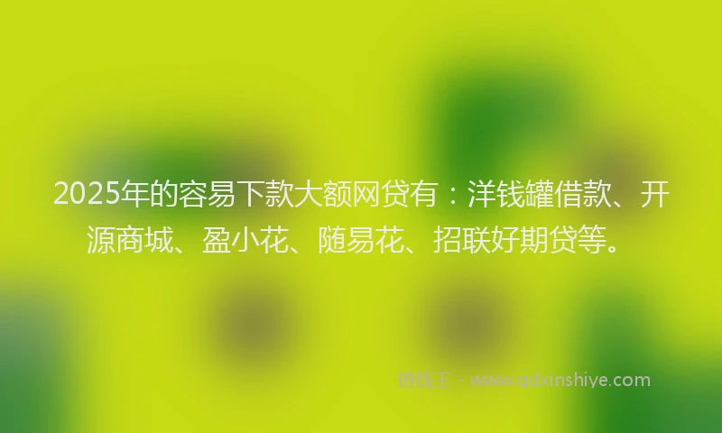 2025年的容易下款大额网贷有：洋钱罐借款、开源商城、盈小花、随易花、招联好期贷等。