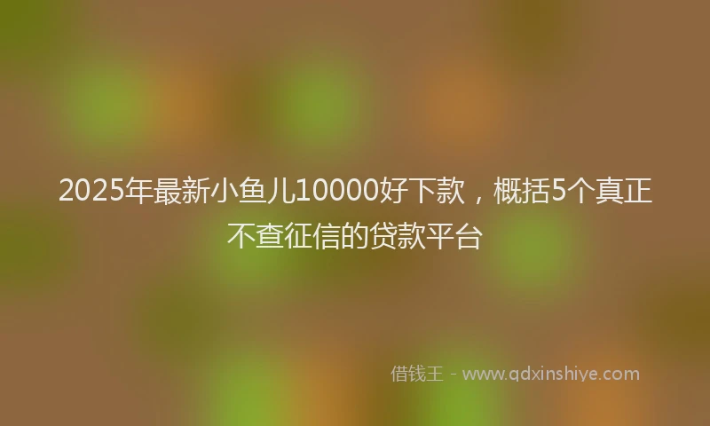 2025年最新小鱼儿10000好下款，概括5个真正不查征信的贷款平台